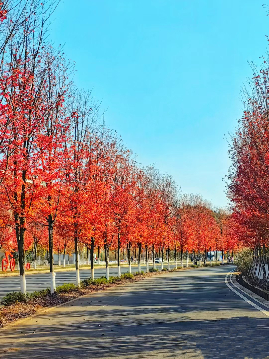 已使用 益陽網(wǎng)紅大道，圖源于紅網(wǎng).jpg