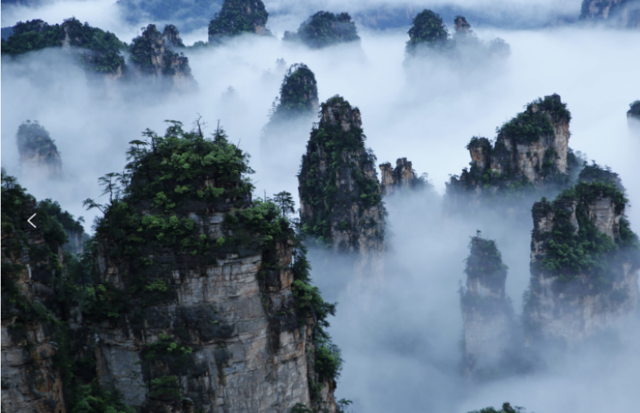 康養(yǎng)游大勢(shì)已至，張家界武陵源區(qū)點(diǎn)“藥”成金