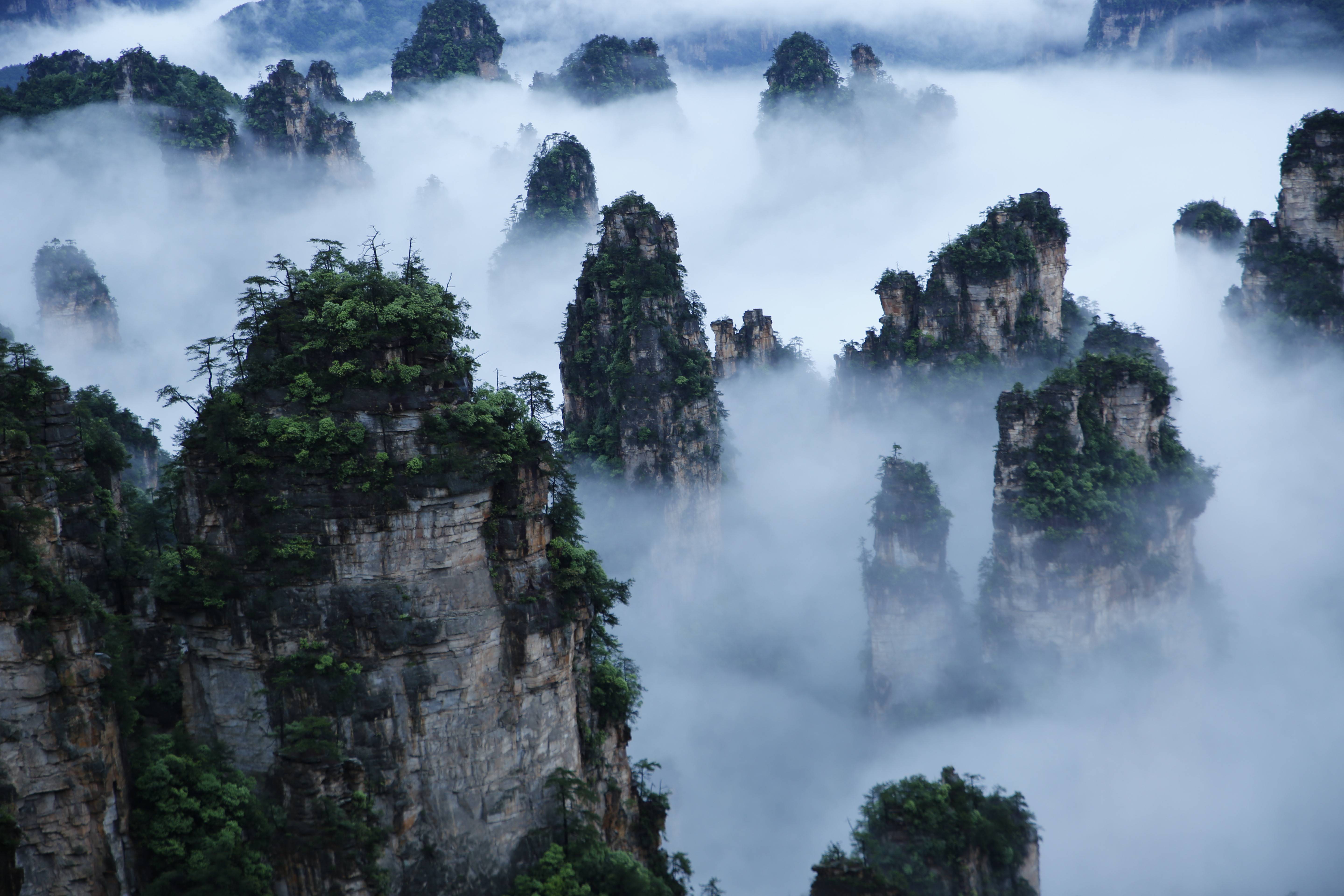 武陵源景區(qū)天子山云海，圖源：湖南日?qǐng)?bào).jpeg